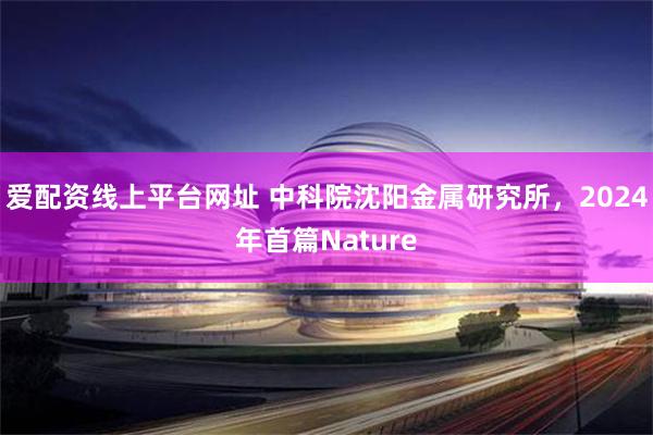 爱配资线上平台网址 中科院沈阳金属研究所，2024年首篇Nature