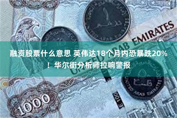 融资股票什么意思 英伟达18个月内恐暴跌20%！华尔街分析师拉响警报