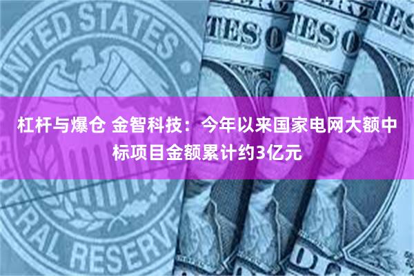 杠杆与爆仓 金智科技：今年以来国家电网大额中标项目金额累计约3亿元