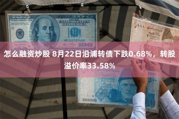 怎么融资炒股 8月22日沿浦转债下跌0.68%，转股溢价率33.58%